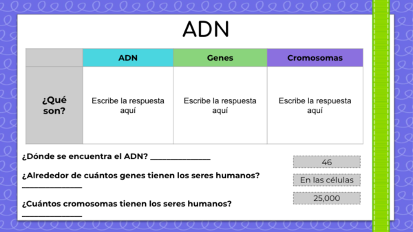 Genética guía de estudio digital