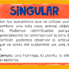 Identifica el número de los sustantivos pausa activa: responde con tu cuerpo