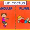 Identifica el número de los sustantivos pausa activa: responde con tu cuerpo