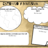 Organizadores gráficos biomas - Imagen 3