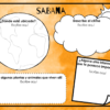 Organizadores gráficos biomas - Imagen 2
