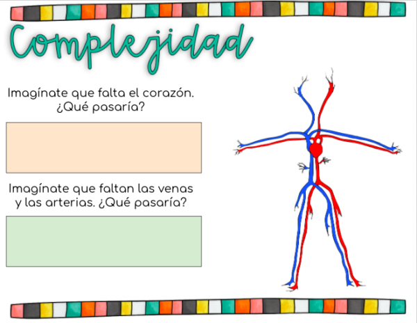 El sistema circulatorio guía para analizar