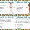 Los sistemas del cuerpo preguntas de comprensión