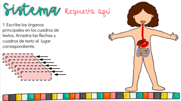 proyecto sistemas del cuerpo