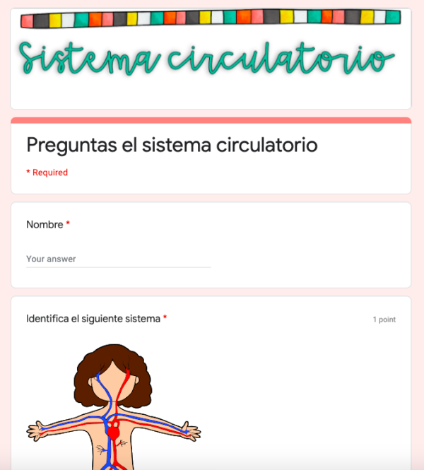 El sistema circulatorio preguntas de comprensión