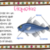 características del texto informativo