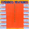 Género de los sustantivos Guía de estudio digital - Imagen 2