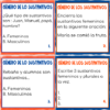 Género de los sustantivos preguntas de comprensión - Imagen 3