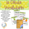 La célula juego Yo tengo... Quién tiene...