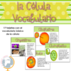 La célula tarjetas de vocabulario