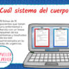 ¿Cuál sistema del cuerpo?