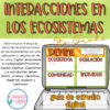 Interacciones en los ecosistemas. Guía de estudio digital.