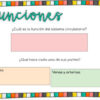 El sistema circulatorio guía para analizar sus partes, funciones y complejidad - Imagen 3