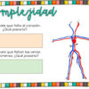 El sistema circulatorio guía para analizar sus partes, funciones y complejidad - Imagen 4