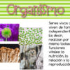 La célula tarjetas de vocabulario - Imagen 2