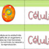 La célula juegos para practicar el vocabulario - Imagen 2