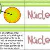 La célula juegos para practicar el vocabulario - Imagen 3