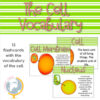 The cell vocabulary flashcards