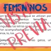 Género de los sustantivos: femenino y masculino Juego Memoria (Nouns) - Imagen 3