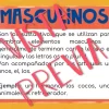 Género de los sustantivos: femenino y masculino Juego Memoria (Nouns) - Imagen 4