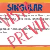 Número de los sustantivos: singular y plural Juego Memoria (Nouns) - Imagen 3