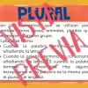Número de los sustantivos: singular y plural Juego Memoria (Nouns) - Imagen 4