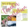 The Cell interactive notebook - Imagen 3