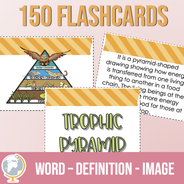 Ecosystems Vocabulary Games - Imagen 2