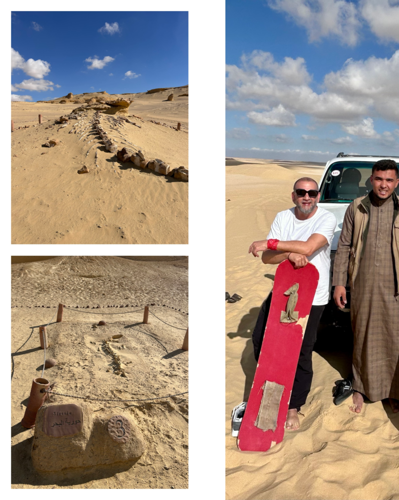 Tour a Al Fayoum